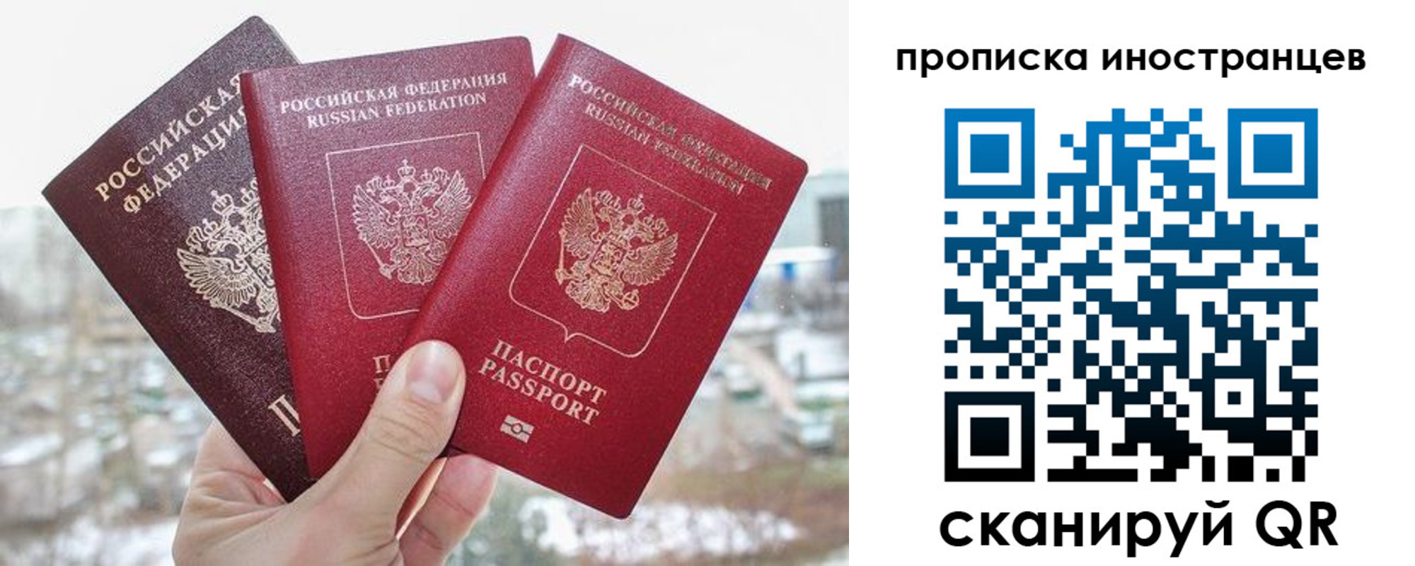 временная регистрация поиск в Холмске
